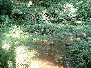 photo4