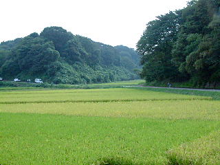 photo1