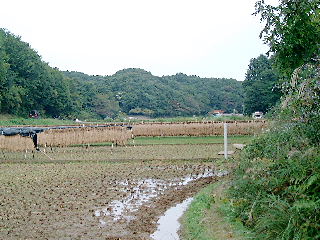 photo2