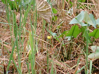photo3