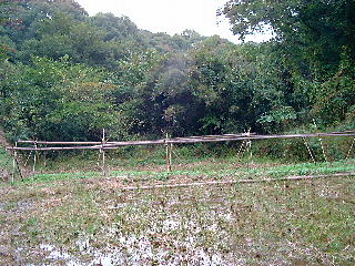 photo5
