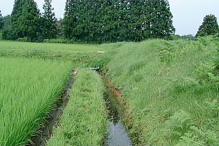 photo2