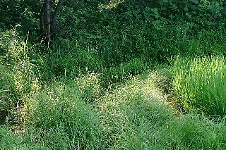 photo3