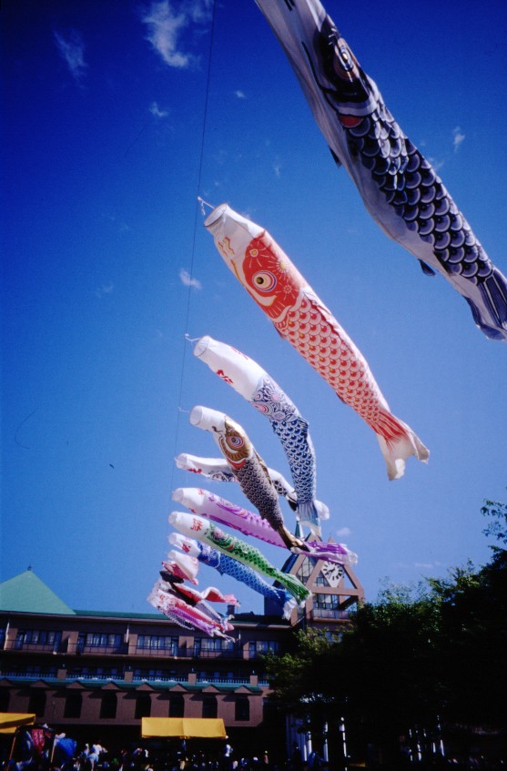 �����̂ڂ�