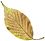 leaf_scan_02_02.gif