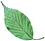 leaf_scan_02_04.gif