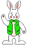 rabbit2010_008.gif