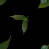 leaf_008.gif